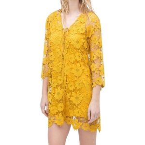 Stunning Zara lace embroidered mini dress
